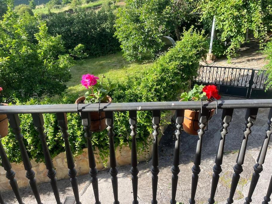 Casa A Boga Ribeira Sacra Villa Abeleda Ngoại thất bức ảnh