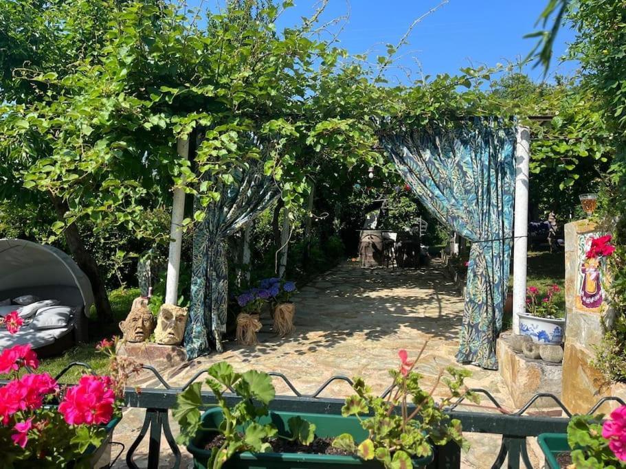 Casa A Boga Ribeira Sacra Villa Abeleda Ngoại thất bức ảnh